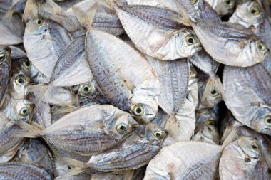 Cebu City, Filipinler 'deki Karbon Pazarı' nda kurutulmuş balık sergileniyor..