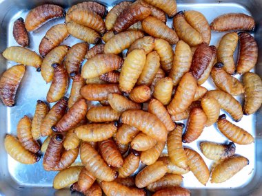 Tayland 'da bir markette pişmiş böcek larvası çeşidi. Bu Tayland 'da popüler bir sokak yemeği..