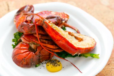 Taze pişmiş Atlantik ıstakozu..