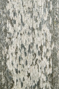 Ahşap desenli doğal ahşap desenli arka plan.