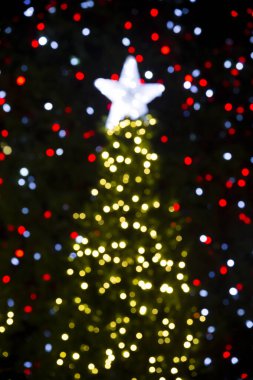 Dekoratif ışıklar Beytüllahim Yıldızı olan bir Noel ağacında ışıklandırıldı..