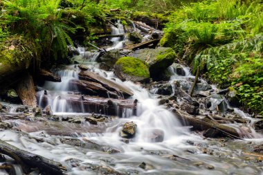 Bridal Veil Falls Provincial Park is located on the Trans-Canada Highway just east of Rosedale, British Columbia, Canada, part of the City of Chilliwack.