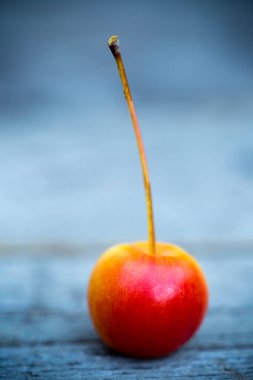 A still life arrangement of one ripe organic crab apple fruit on a rustic wood background. clipart