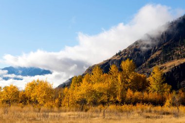 Autumn landscape of fall colors in the Similkameen Valley near Cawston, British Columbia, Canada 