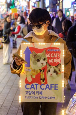 Seul, Güney Kore - 26 Ekim 2024: Seul, Güney Kore 'deki Myeong-Dong semtindeki hareketli ve hareketli alışveriş bölgesinde kedi kafesi reklamı yapan bir insan sokak manzarası. 