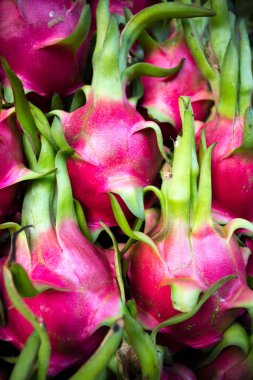 Ho Chi Minh City, Vietnam 'daki Ben Thanh Market' te taze olgun organik meyve pitaya veya ejderha meyvesi çeşitleri..