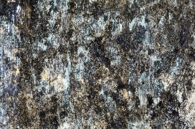 Eski beton bir duvardaki kirli grunge arkaplan dokusunun bir detayı. Grafik kaynağı için kopyalama alanı var..