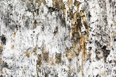 Eski beton bir duvardaki kirli grunge arkaplan dokusunun bir detayı. Grafik kaynağı için kopyalama alanı var..