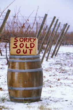 A winter landscape scenic view of a winery vineyard with snow and frozen grapes for ice wine harvest located in the Okanagan Valley on the Naramata Bench in Penticton, British Columbia, Canada. clipart