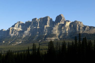 Castle Mountain ve Banff Ulusal Parkı 'ndaki yaylı nehir Alberta Kanada