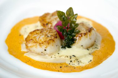 Kırmızı biber soslu ve beyaz tabakta Hollandaise soslu kızarmış deniz tarağı.. 