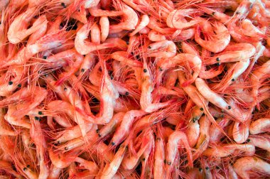 Pasifik Okyanusu 'nda, kuzey karideslerine de pembe karides, kuzey pembe karides, Alaska pembe karidesi veya dikenli karides denir..