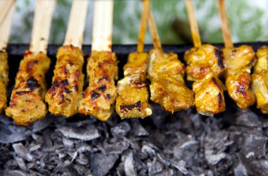 Izgarada pişen ızgara tavuk yahnisi çeşitleri. Satay ya da sate, baharatlı, şiş ve ızgara et ile servis edilen bir Java yemeğidir. Satay Java kökenlidir ama Endonezya, Güneydoğu Asya, Avrupa ve Ameri 'ye yayılmıştır.