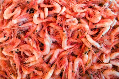 In the Pacific Ocean, northern shrimp are also called pink shrimp, northern pink shrimp, Alaska pink shrimp, or spiny shrimp. clipart