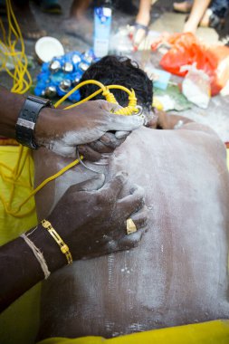 Penang, Malezya - 8 Şubat 2017: Thaipusam kutlamaları için piercingli bir dindar, Penang, Malezya 'da bir Tamil Hindu festivali Lord Murugan' ı kutlamak için kutlandı.