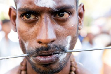 Penang, Malezya - 8 Şubat 2017: Thaipusam kutlamaları için piercingli bir dindar, Penang, Malezya 'da bir Tamil Hindu festivali Lord Murugan' ı kutlamak için kutlandı.