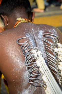 Penang, Malezya - 9 Şubat 2025: Thaipusam kutlamaları için piercingli bir dindar, Penang, Malezya 'da bir Tamil Hindu festivali Lord Murugan' ı kutlamak için kutlandı.