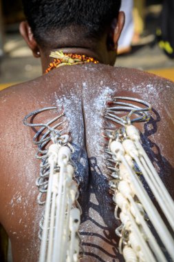 Penang, Malezya - 9 Şubat 2025: Thaipusam kutlamaları için piercingli bir dindar, Penang, Malezya 'da bir Tamil Hindu festivali Lord Murugan' ı kutlamak için kutlandı.