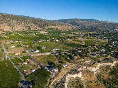 Penticton, British Columbia 'nın Okanagan Vadisi' nde bulunan Narata Bench üzüm bağlarının üstündeki insansız hava aracı görüntüsü..