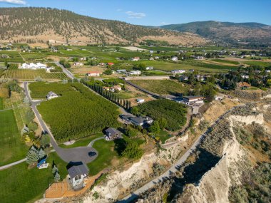 Penticton, British Columbia 'nın Okanagan Vadisi' nde bulunan Narata Bench üzüm bağlarının üstündeki insansız hava aracı görüntüsü..