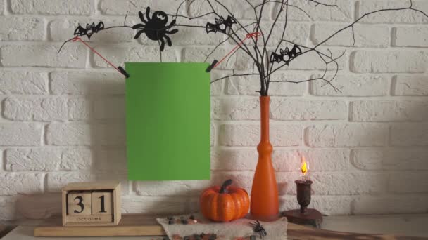 Decorative Composition Holiday Halloween Pumpkin Calendar Flashlight Spider Vase Branches — Stock Video