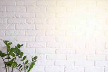 Arka plan yeşil bitkilerle dolu beyaz tuğla bir duvardan yapılmış. Yüksek kalite fotoğraf
