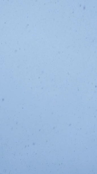 Śnieg Pada Błękitne Niebo Pionowe Wideo — Wideo stockowe