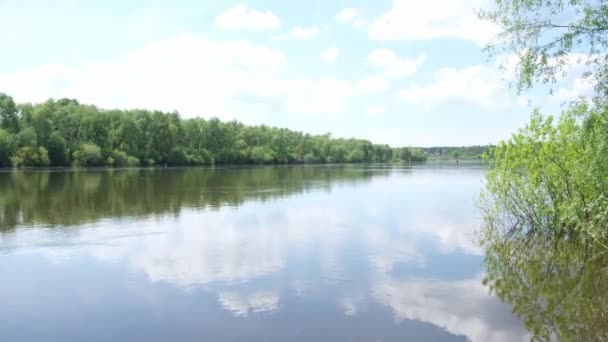 一条奔流成河的洪流 春天是阳光灿烂的日子 河岸上的绿色植被 高质量的4K镜头 — 图库视频影像