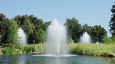 Yazın, güneşli bir günde, yeşil bitki örtüsü arasında parktaki birkaç çeşme. Yüksek kalite 4k görüntü