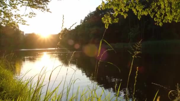 Ηλιοβασίλεμα Στη Λίμνη Καλοκαίρι Ακτίνες Του Ήλιου Λάμπουν Στην Επιφάνεια — Αρχείο Βίντεο
