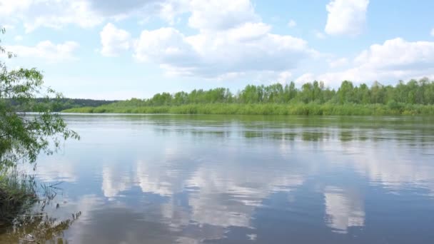 一条奔流成河的洪流 有绿色植被的海岸 蓝天有云彩 云彩反射在水面上 夏天的一天高质量的4K镜头 — 图库视频影像