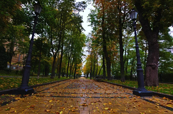 圣沃洛德梅尔山上秋天的风景秀丽 景色迷人 沿着五彩缤纷的树的走廊笔直的灰色石头走道 小巷边的木制长椅 橙色的叶子遍地都是 — 图库照片