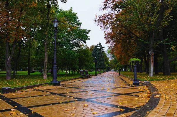 Aziz Volodymyr Tepesi Nin Resimli Sonbahar Yağmurlu Manzarası Renkli Ağaçların — Stok fotoğraf