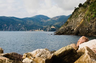 Scenic nature landscape view of beautiful rocks descend into the Ligurian Sea. Sea landscape with mountains covered by different plants, cacti and trees. Concept of landscape and nature. Cinque Terre.