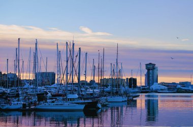 A lot of yachts moored in the busy harbor of Barcelona. Scenic morning landscape of harbor in Barcelona. View of the moored ships, boats and yachts. Travel and tourism concept.