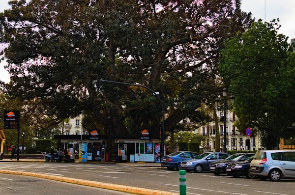 Βαλένθια Ισπανία Δεκεμβρίου 2015 Βενζινάδικο Κάτω Από Μεγάλο Γέρικο Δέντρο — Φωτογραφία Αρχείου
