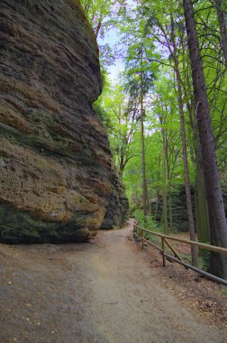 Yaz ormanındaki yürüyüş parkurunun manzarası. Falcon Yuvası ve Pravcice Kapısı 'na giden yol. Ünlü yürüyüş parkuru ve turistik bir yer. Bohem İsviçre Ulusal Parkı, Çek Cumhuriyeti.