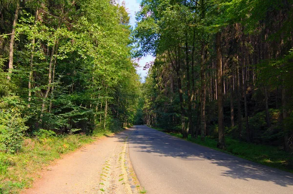 Vue Paysage Pittoresque Route Sinueuse Vide Dans Forêt Près Hrensko — Photo