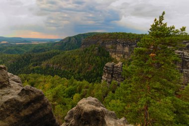 Güzel doğa manzarası. Doğal anıt - Çek İsviçre (Bohemian İsviçre) Ulusal Parkı. Yaz öğleden sonra hava manzarası. Çek Cumhuriyeti. UNESCO Dünya Mirası Alanı.