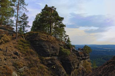 Manzaralı doğa manzarası. Doğal anıt - Çek İsviçre (Bohemian İsviçre) Ulusal Parkı. Yaz öğleden sonra hava manzarası. Çek Cumhuriyeti. UNESCO Dünya Mirası Alanı.
