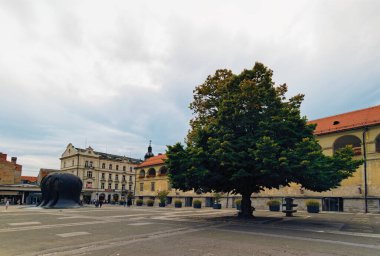 Maribor, Slovenya-23 Eylül 2019: Ortaçağ Svobode Meydanı 'nın panoramik manzara manzarası İkinci Dünya Savaşı kurbanları için anıt ve eski ıhlamur ağacı. Maribor 'un sonbahar manzarası.