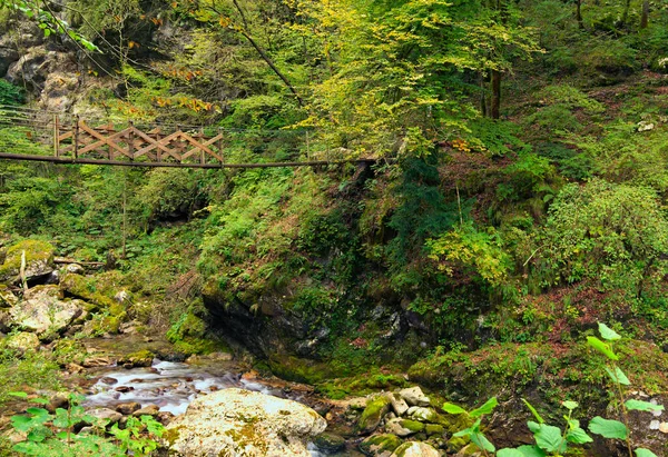 Astonishin Nature Composition Bridge Stream Clear Turquoise Water Tolmin Gorge — Stock Photo, Image