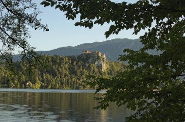 Uçurumun tepesindeki Antik Kanlı Kale 'nin güzel sabah fotoğrafı. Ağaç sınırı terk eder. Doğal çerçeve. Arka planda dağlar var. Slovenya 'da popüler turizm beldesi.