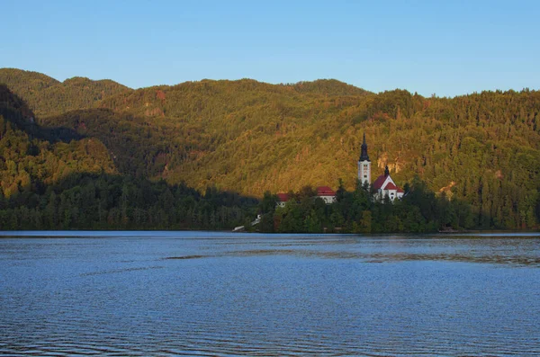 Scenic Morning View Bled Lake Blejsko Jezero Ancient Pilgrimage Church — Stock Photo, Image