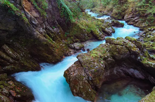 Detailed View Fast Winding Stream Turquoise Water Big Stones Covered — Stock Photo, Image