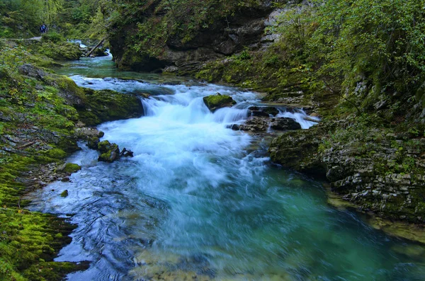 Malerische Landschaft Blick Auf Schnell Gewundenen Bach Mit Türkisfarbenem Wasser — Stockfoto