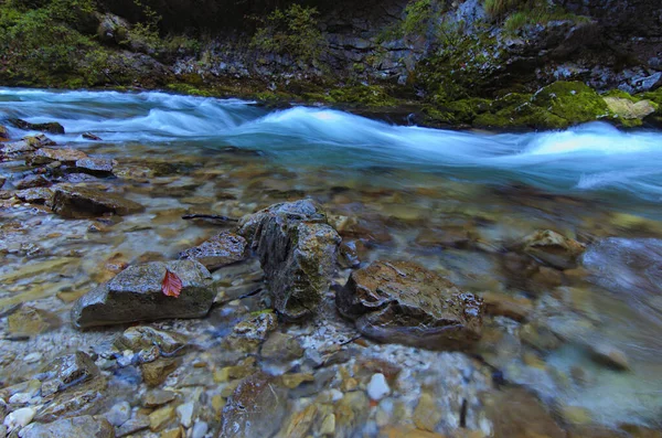 有名なVintgar Gorge Bled Gorge のモスで覆われた大きな石の間にターコイズ水が付いている高速巻線の広角形の風景ビュー トリグラフ国立公園 スロベニア — ストック写真