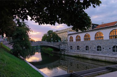 Ljubljana 'nın sabah manzarası. Arka planda Ljubljanica Nehri 'nin ışıklandırılmış tarihi evleri ve ünlü Ejderha köprüsü (Zmajski) yer alıyor. Tavel ve turizm konsepti.