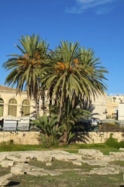 Apollo Doric taş kalıntıları Tapınağı 'nın ve antik Ortigia adası Syracuse tarihi kasabasının arkeolojik alanının yakın görüntüsü. Seyahat ve turizm kavramı.