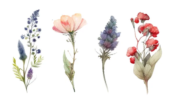 Aquarell Botanisches Vektorset Vorhanden Sammlung Abstrakter Frühlingswildblumen Gras Blattzweige Blütenblätter — Stockvektor